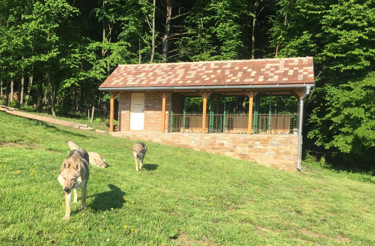 Chata Koniaren Villa Pavlovce Exterior photo